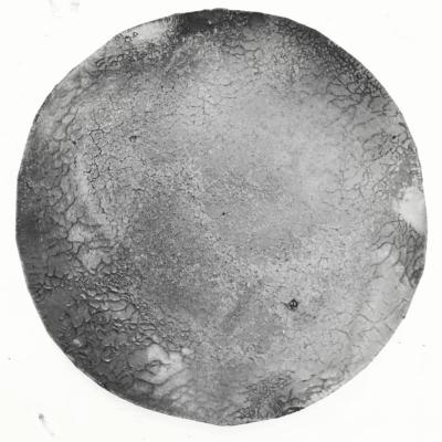 9d96b774 3e1a 4b88 99d0 Cbe1f196c65d