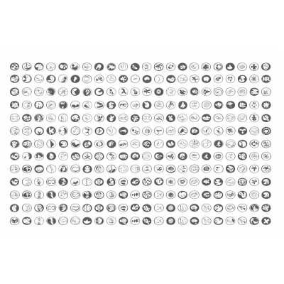 Chatgpt Image Feb 5 2026 06 30 55 Pm